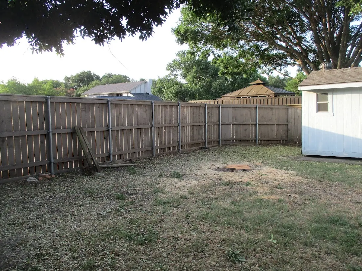 Cleared yard after professional tree removal in Salyersville